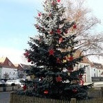 Weihnachtsbaum am Marktplatz und im Altenheim