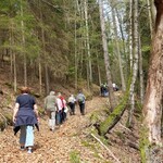 Halbtageswanderung bei bestem Frühlingswetter